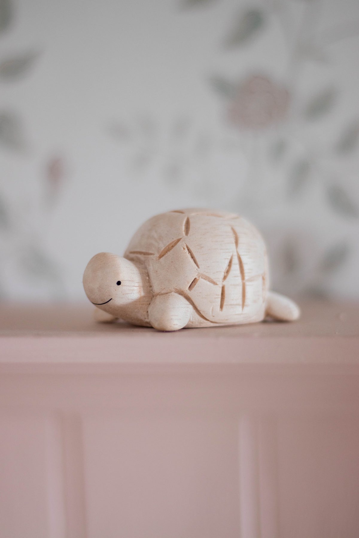 Figurine Tortue en Bois en situation