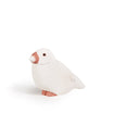 OISEAUX_MOINEAU AVA