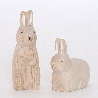 Wit konijn zittend in hout | sterrenbeeld
