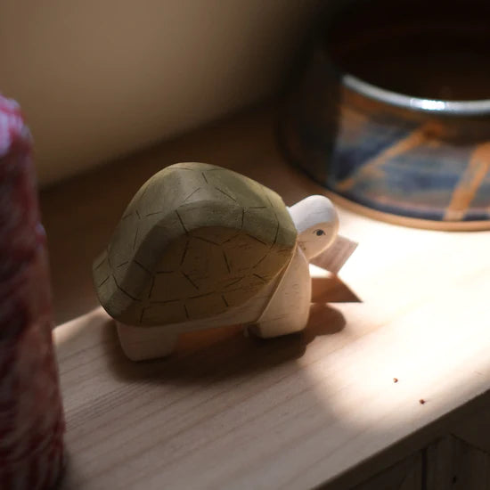 Reuze houten Galapagos-schildpad | HAKOBUNE